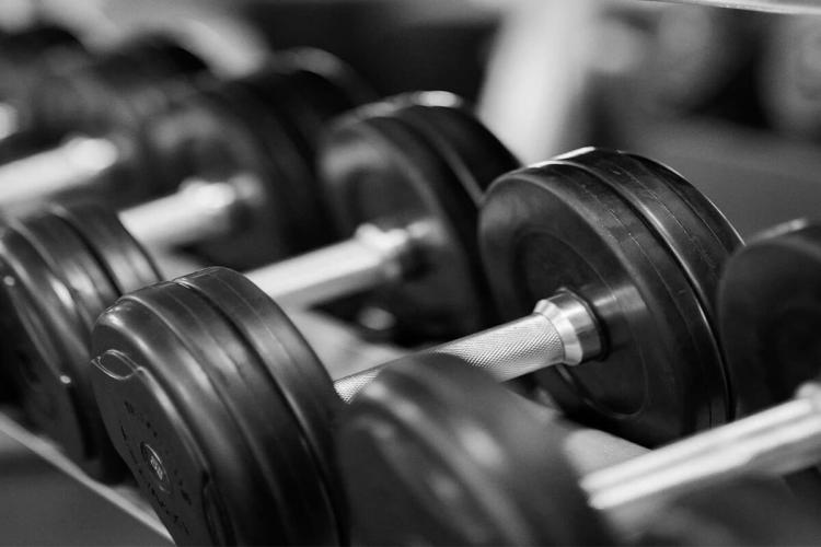 Force et charges libres